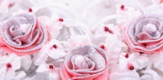 Accessori per il cake design 1731 0 cakedesign4