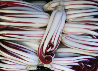 Antica Mostra del Radicchio Rosso di Treviso IGP 2014 1736 0 antica_mostra_radicchio_dic14_ok_copertina