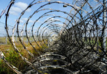 Valerio Bispuri 1738 0 Valerio_Bispuri