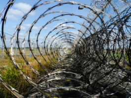 Valerio Bispuri 1738 0 Valerio_Bispuri