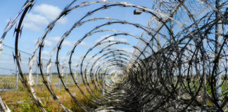 Valerio Bispuri 1738 0 Valerio_Bispuri