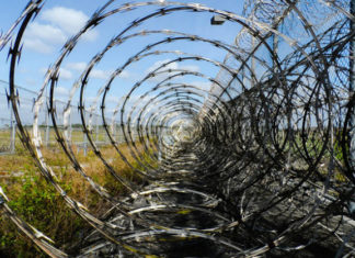 Valerio Bispuri 1738 0 Valerio_Bispuri