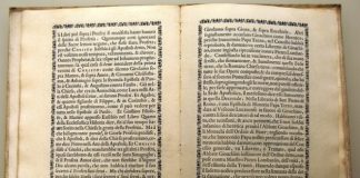 Il lavoro degli amanuensi 1763 0 il_lavoro_degli_amanuensi