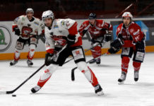 L’abc dell’hockey 1782 0 L_abc_dell_hockey