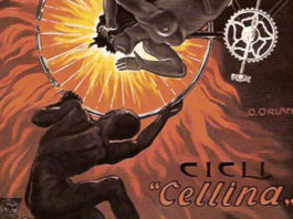 La collezione Salce 1806 0 la_collezione_salce