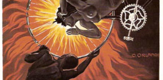 La collezione Salce 1806 0 la_collezione_salce