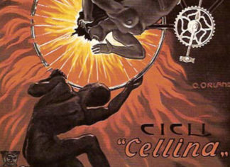 La collezione Salce 1806 0 la_collezione_salce