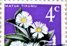 Collezioni di classe aperta: le piante 1838 0 collezione_di_classe_aperta_le_piante