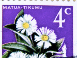 Collezioni di classe aperta: le piante 1838 0 collezione_di_classe_aperta_le_piante