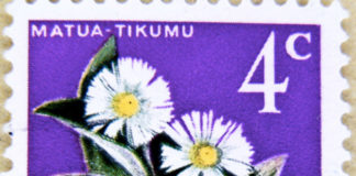 Collezioni di classe aperta: le piante 1838 0 collezione_di_classe_aperta_le_piante