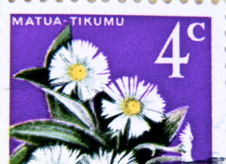 Collezioni di classe aperta: le piante 1838 0 collezione_di_classe_aperta_le_piante