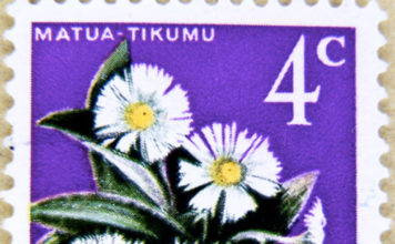 Collezioni di classe aperta: le piante 1838 0 collezione_di_classe_aperta_le_piante