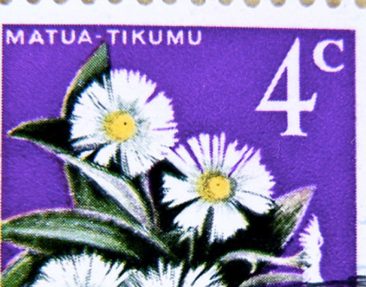 Collezioni di classe aperta: le piante 1838 0 collezione_di_classe_aperta_le_piante