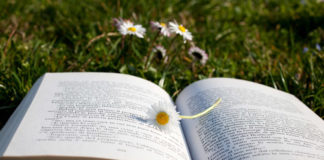 Racconti 306 0 Racconti