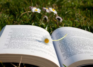 Racconti 306 0 Racconti