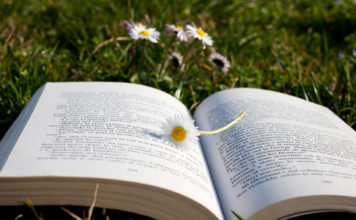 Racconti 306 0 Racconti