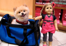 Bambole da collezione 314 0 bambole da collezione_ok