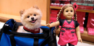 Bambole da collezione 314 0 bambole da collezione_ok