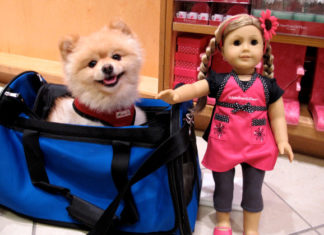 Bambole da collezione 314 0 bambole da collezione_ok