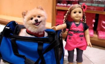 Bambole da collezione 314 0 bambole da collezione_ok