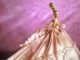 Barbie bambole da collezione 317 0 barbie bambole da collezione_ok