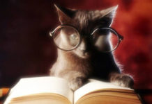 Bibliofilo 320 0 bibliofilo_ok