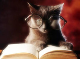 Bibliofilo 320 0 bibliofilo_ok