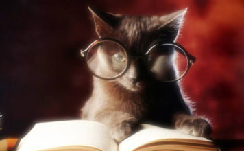 Bibliofilo 320 0 bibliofilo_ok