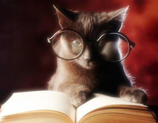 Bibliofilo 320 0 bibliofilo_ok