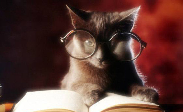 Bibliofilo 320 0 bibliofilo_ok