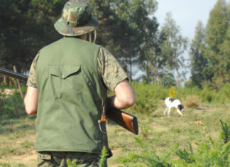 Bolt action 323 0 bolt action_ok