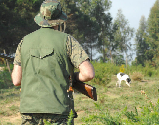 Bolt action 323 0 bolt action_ok