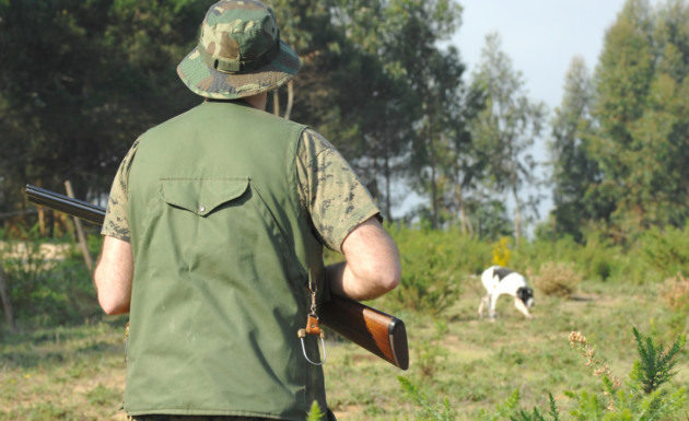 Bolt action 323 0 bolt action_ok