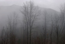 Outdoor: il tempo atmosferico e le nuvole 466 0 Outdoor il tempo atmosferico