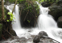 Outdoor: i filtri per l´acqua 469 0 Outdoor i filtri per lacqua.JPG