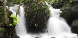 Outdoor: i filtri per l´acqua 469 0 Outdoor i filtri per lacqua.JPG