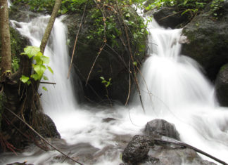 Outdoor: i filtri per l´acqua 469 0 Outdoor i filtri per lacqua.JPG