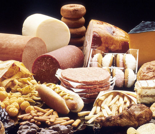 In piscina: gli orari dell´alimentazione 482 0 In piscina lalimentazione