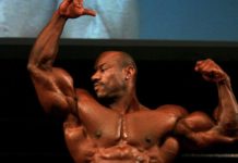 In palestra: Mr. Olympia 511 0 In palestra Mr. Olympia