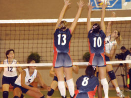 Sport di squadra – la pallavolo 534 0 Sport di squadra La pallavolo