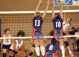 Sport di squadra – la pallavolo 534 0 Sport di squadra La pallavolo