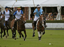 Sport di squadra – il polo 535 0 Sport di squadra Il polo