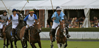 Sport di squadra – il polo 535 0 Sport di squadra Il polo