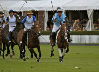 Sport di squadra – il polo 535 0 Sport di squadra Il polo