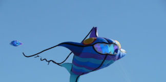 Sport individuali – l´aquilonismo 549 0 Sport individuali Laquilonismo