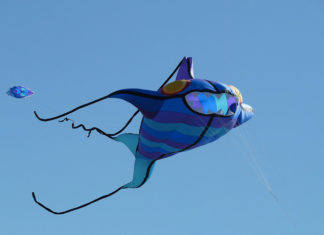 Sport individuali – l´aquilonismo 549 0 Sport individuali Laquilonismo