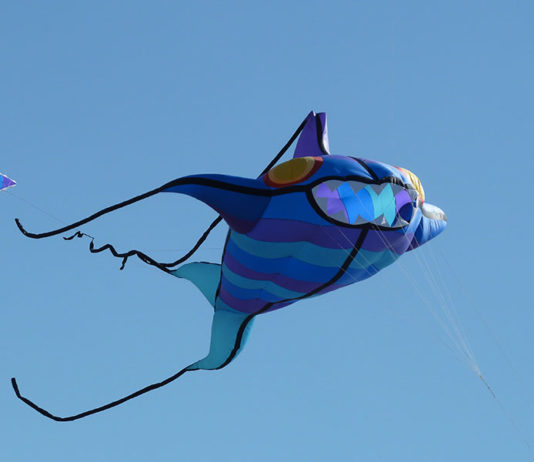 Sport individuali – l´aquilonismo 549 0 Sport individuali Laquilonismo