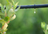 La microirrigazione e l´irrigazione goccia a goccia 587 0 la_microirrigazione_e_l_irrigazione_goccia_a_goccia_ok