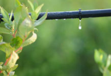 La microirrigazione e l´irrigazione goccia a goccia 587 0 la_microirrigazione_e_l_irrigazione_goccia_a_goccia_ok