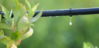 La microirrigazione e l´irrigazione goccia a goccia 587 0 la_microirrigazione_e_l_irrigazione_goccia_a_goccia_ok